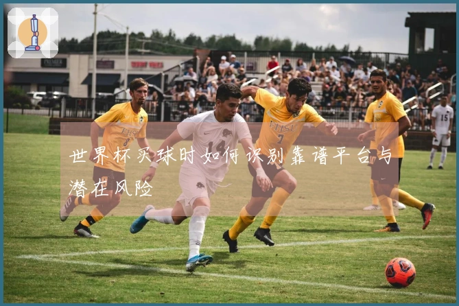 世界杯买球时如何识别靠谱平台与潜在风险